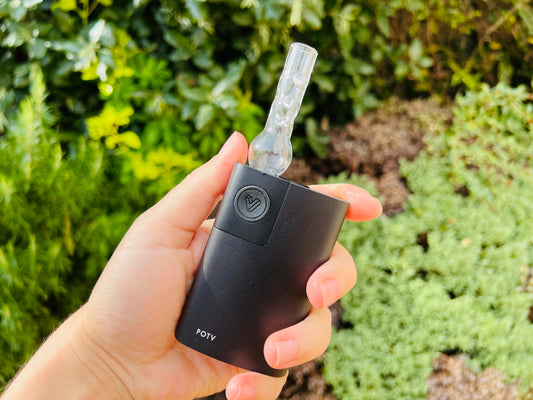 Globe Glass Stem for POTV LOBO and POTV ONE